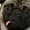 Raes661's icon