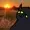 PuddleZuckingKoshka's icon