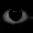 Seek184's icon