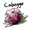 cabagge's icon