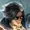 Zoexck's icon