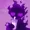 MARTHEVOID's icon