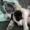 mariwouf's icon