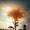 Sunflower235's icon