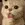 FoggyCatGD