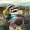 frogger3returns's icon