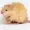 HorizonGrownds's icon