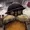 angmills777's icon