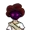 MoorishGuy's icon