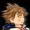 squakysquook's icon