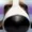 Random3485's icon