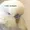 PARROTMEME's icon