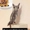 fishi444's icon