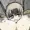 Gusutabo05's icon