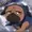 Mxrdum's icon