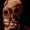 HollowForest's icon