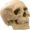 Deadboneman's icon