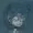 SolarSayl's icon