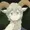 Pixiemeat27's icon