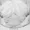 sealablefrog597's icon