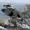 AAK2020bomber's icon