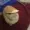 fmz9423's icon