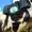 HungryWatcher's icon