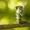 Tssmokingcaterpillar's icon