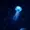 1n7's icon