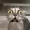 Minix22's icon