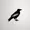 Paradise10110's icon