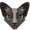 zombiezgrasp's icon