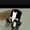 Balorific's icon