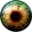 panakeia's icon