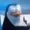 ItzGermannn's icon