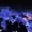 DarwinNMusic's icon