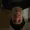 Noahlurussell's icon