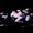 mysticalsh1z's icon