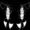kauvoid's icon