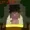 Carnisgraden's icon