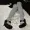 Setnai1's icon