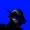 thesmallest's icon