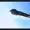 445awscf's icon