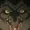 AncientCaveDweller's icon