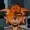 OutFloofed's icon