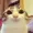 SirDogdude's icon