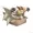 Shagarubox's icon