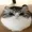 hhhZZMusix's icon