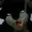 CaveBlackwood's icon