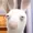 BigLadSean06's icon